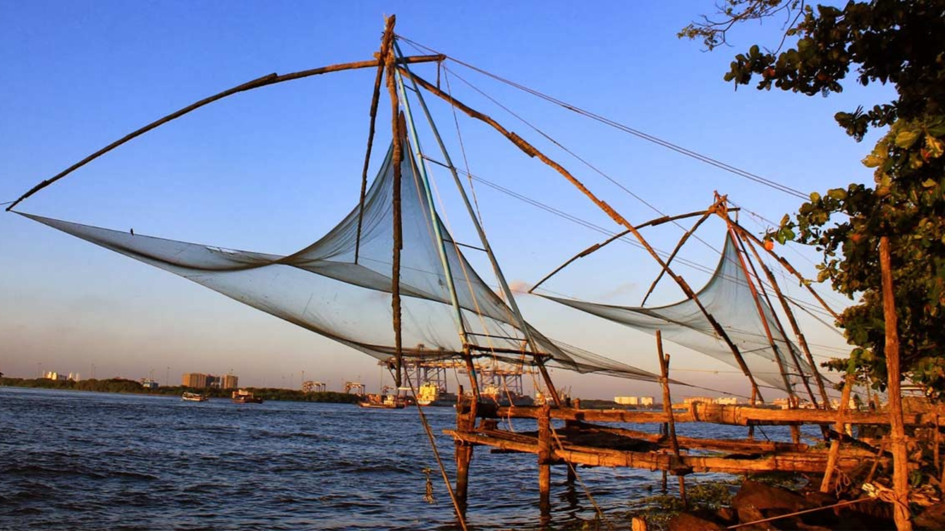 Untitled design - 2026-01-28T123605.071