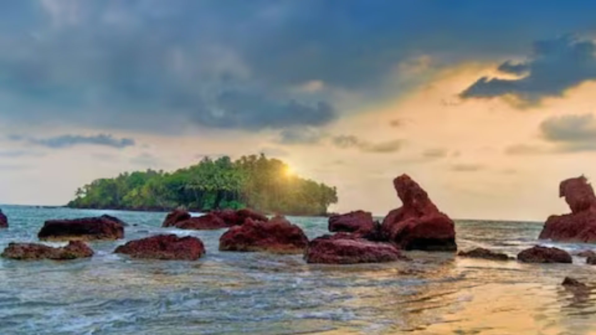 Untitled design - 2026-01-28T124708.355