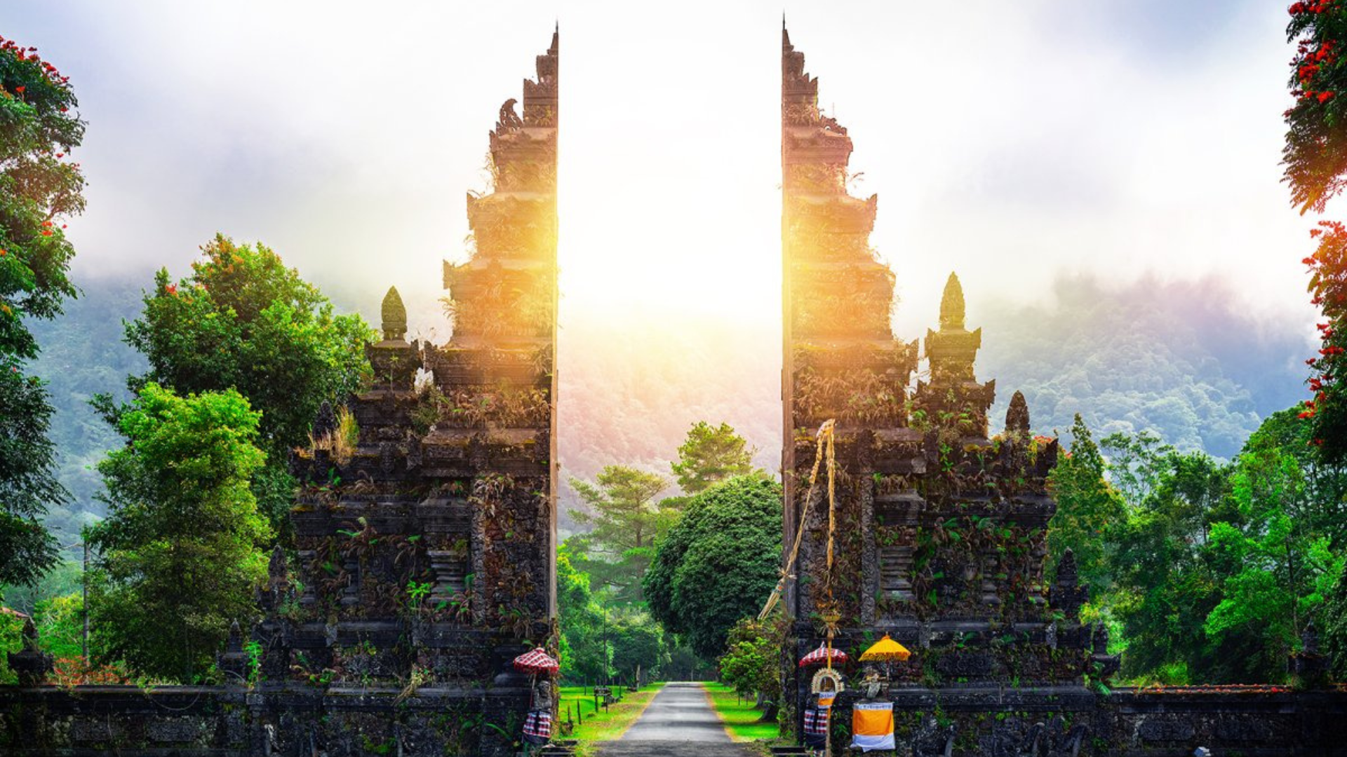 Untitled design - 2026-01-28T130907.008